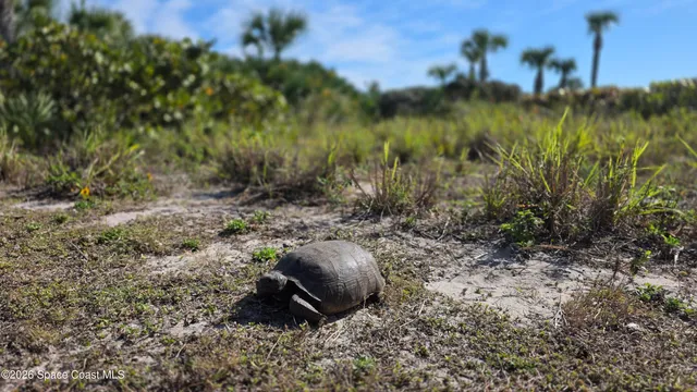a view of a balcony with staircase