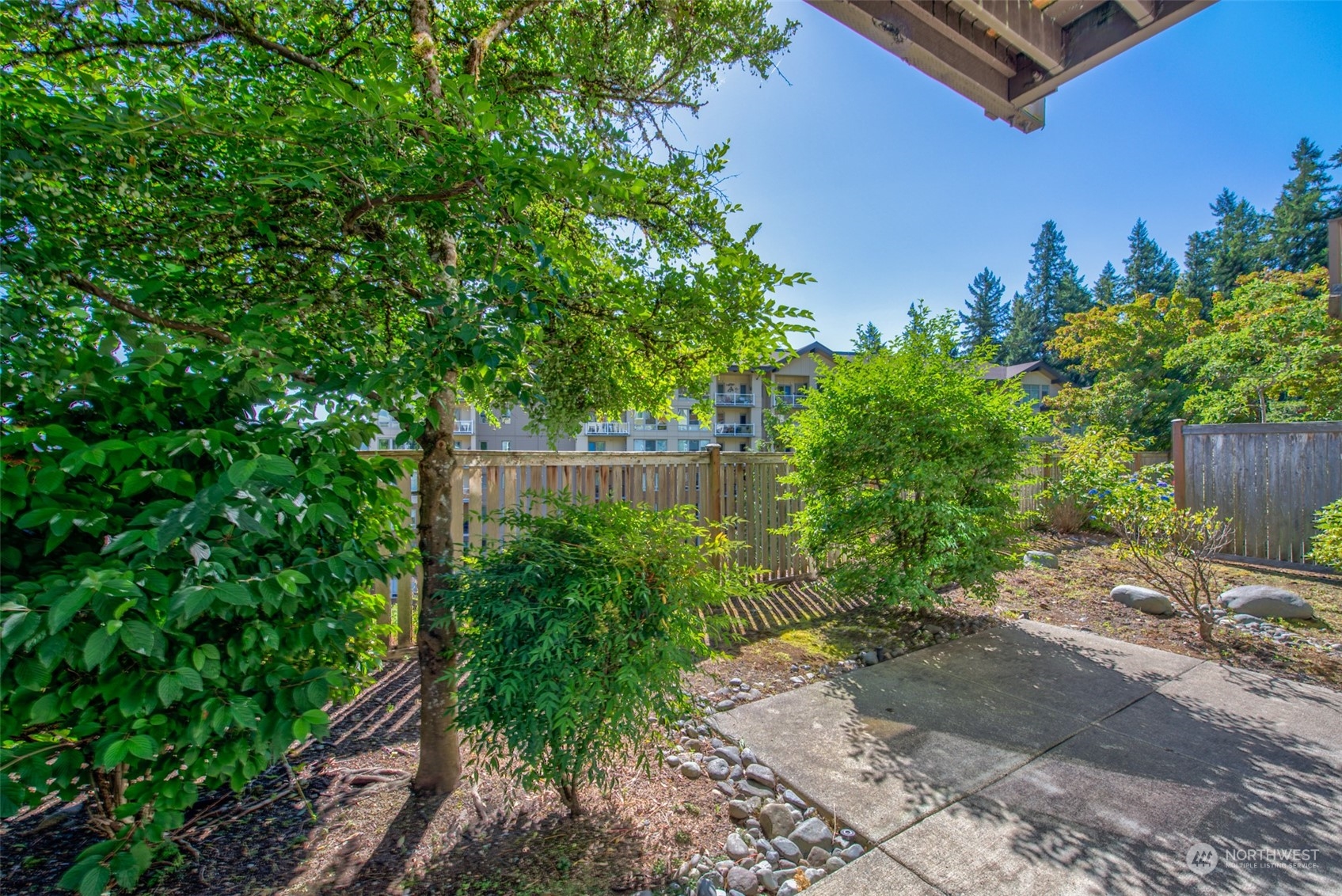 82 Cougar Ridge Road Northwest Issaquah, WA 98027 - Photo 23 of 31 a backyard of a house with lots of green space