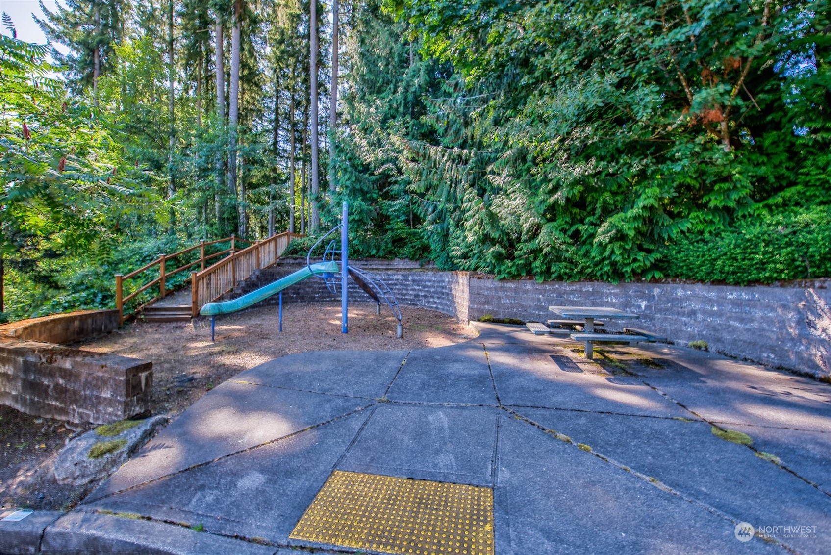 82 Cougar Ridge Road Northwest Issaquah, WA 98027 - Photo 27 of 31 a view of a park with large trees
