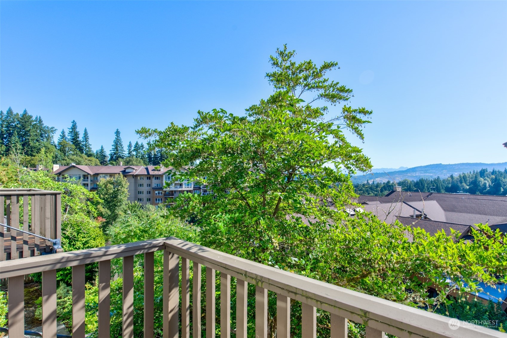 82 Cougar Ridge Road Northwest Issaquah, WA 98027 - Photo 28 of 31 a view of a backyard of the house