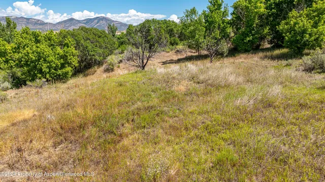 a view of an outdoor space and a yard