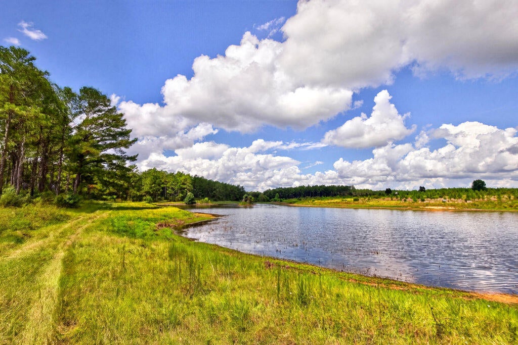 552 Yawn School Road Lumberton, MS 39455 - Photo 10 of 36 Gallery Image 10