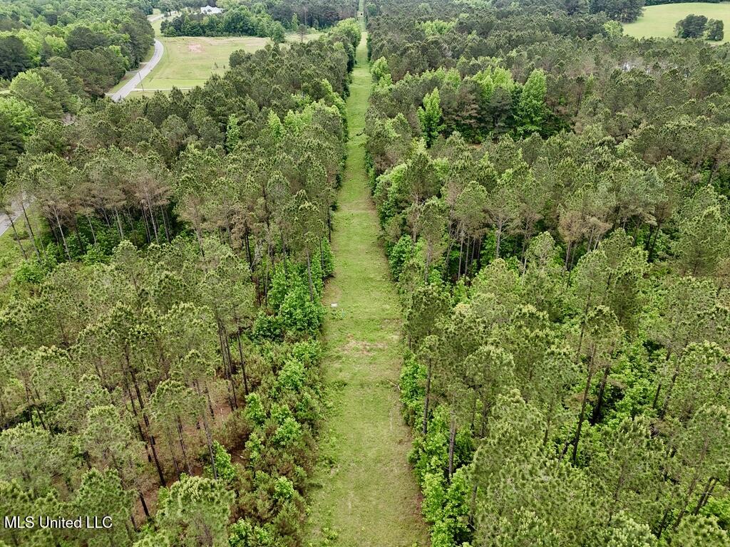 10 Mt Carmel Road Bailey, MS 39320 - Photo 12 of 23 1DEB795A-8637-499E-8516-FFC090BB750A_1_1