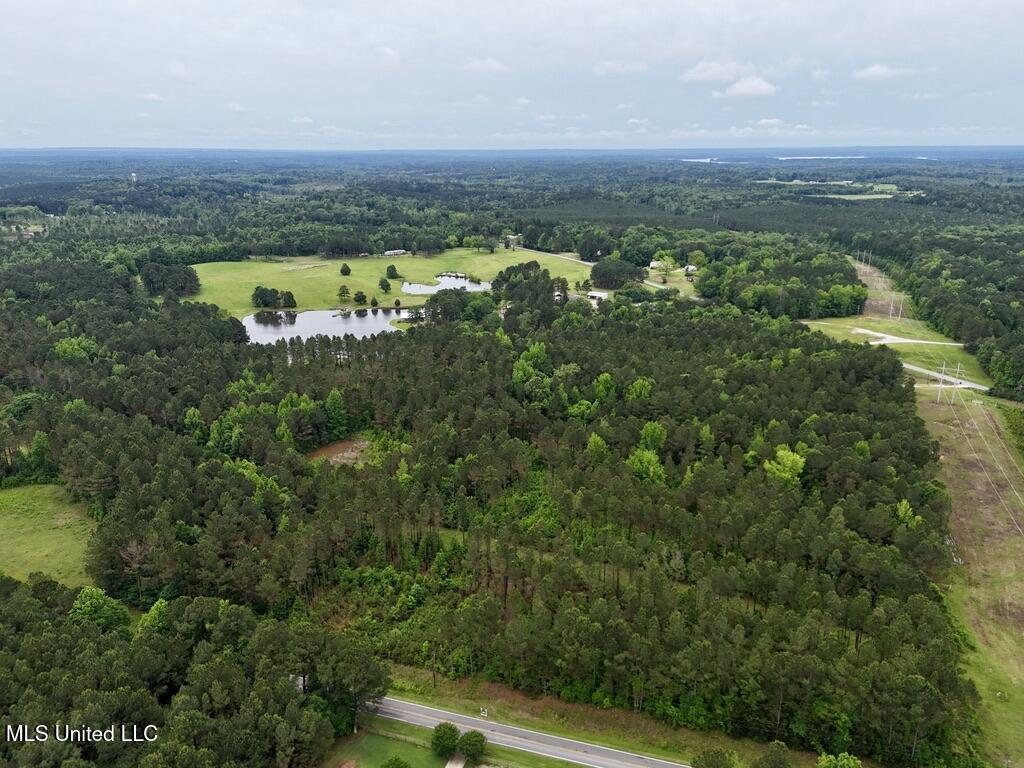 10 Mt Carmel Road Bailey, MS 39320 - Photo 16 of 23 FCAA5157-6FD2-4E46-AACF-AF827560FFF7_1_1
