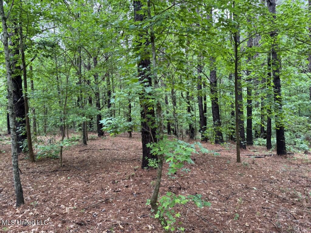 10 Mt Carmel Road Bailey, MS 39320 - Photo 18 of 23 BD5D0EFC-FE20-4665-A2B1-A0209C19828E_1_1