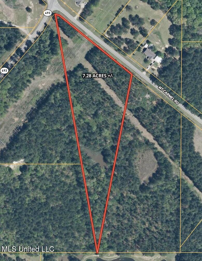 10 Mt Carmel Road Bailey, MS 39320 - Photo 3 of 23 C7C7D5D2-395E-4622-9430-AECD8739CCCD_1_1