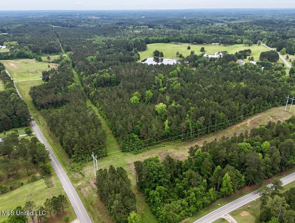 10 Mt Carmel Road Bailey, MS 39320 - Photo 6 of 23 AC5B2CDE-F8EE-43B2-B232-D53862FBD2C6_1_1