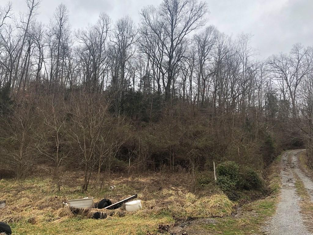 2 Lane Hollow Road Sevierville, TN 37876 - Photo 5 of 13 Gallery Image 5