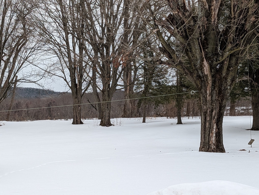 116 Main Street, Unit 1 Hatfield, MA 01038 - Photo 26 of 27