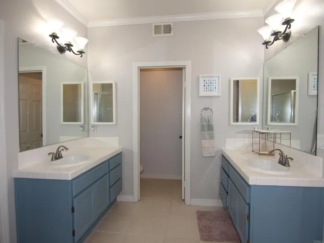 a bathroom with a double vanity sink a shower and a mirror