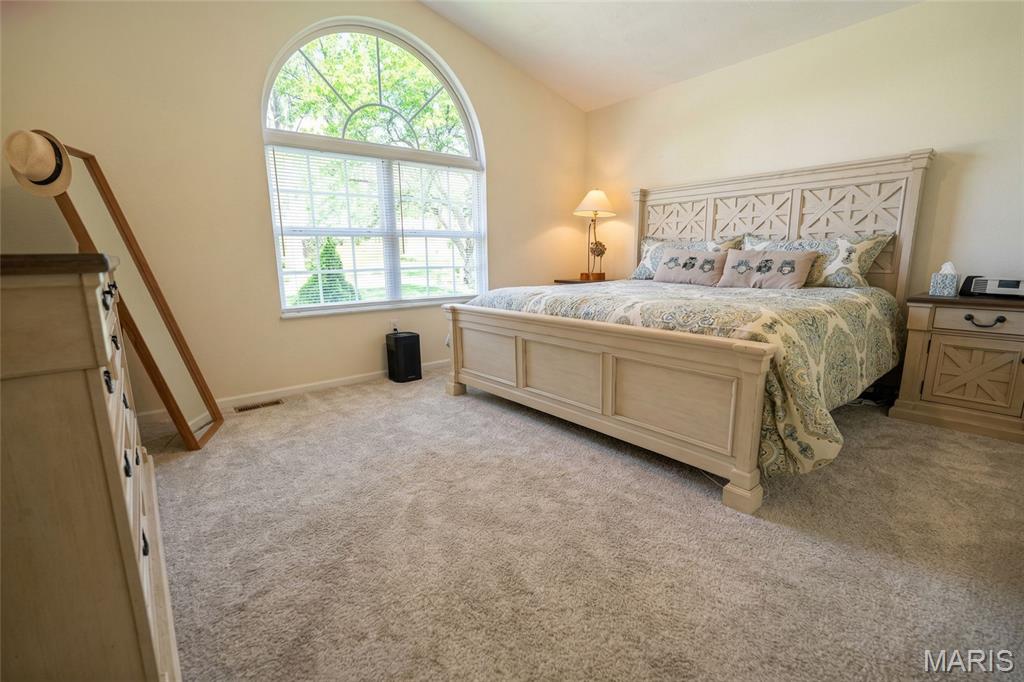 2705 Woods Way Belleville, IL 62221 - Photo 10 of 13