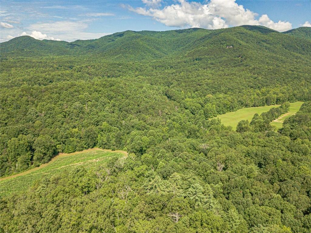 2970 Sky Lake Road Sautee Nacoochee, GA 30571 - Photo 40 of 53