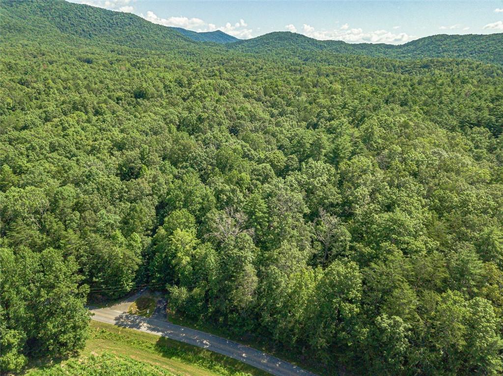 2970 Sky Lake Road Sautee Nacoochee, GA 30571 - Photo 44 of 53