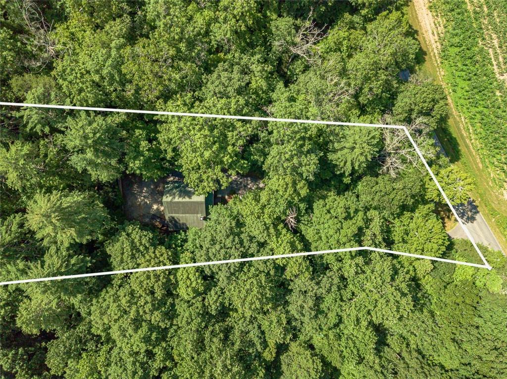 2970 Sky Lake Road Sautee Nacoochee, GA 30571 - Photo 45 of 53