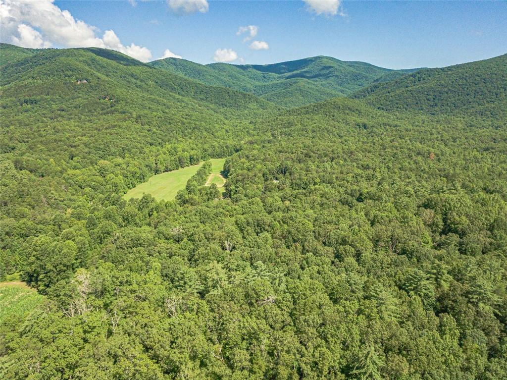 2970 Sky Lake Road Sautee Nacoochee, GA 30571 - Photo 46 of 53