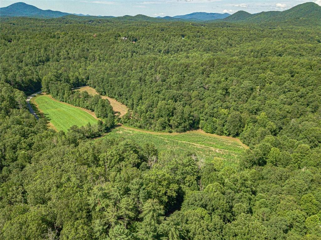 2970 Sky Lake Road Sautee Nacoochee, GA 30571 - Photo 50 of 53 a view of a lush green field with a mountain in the background