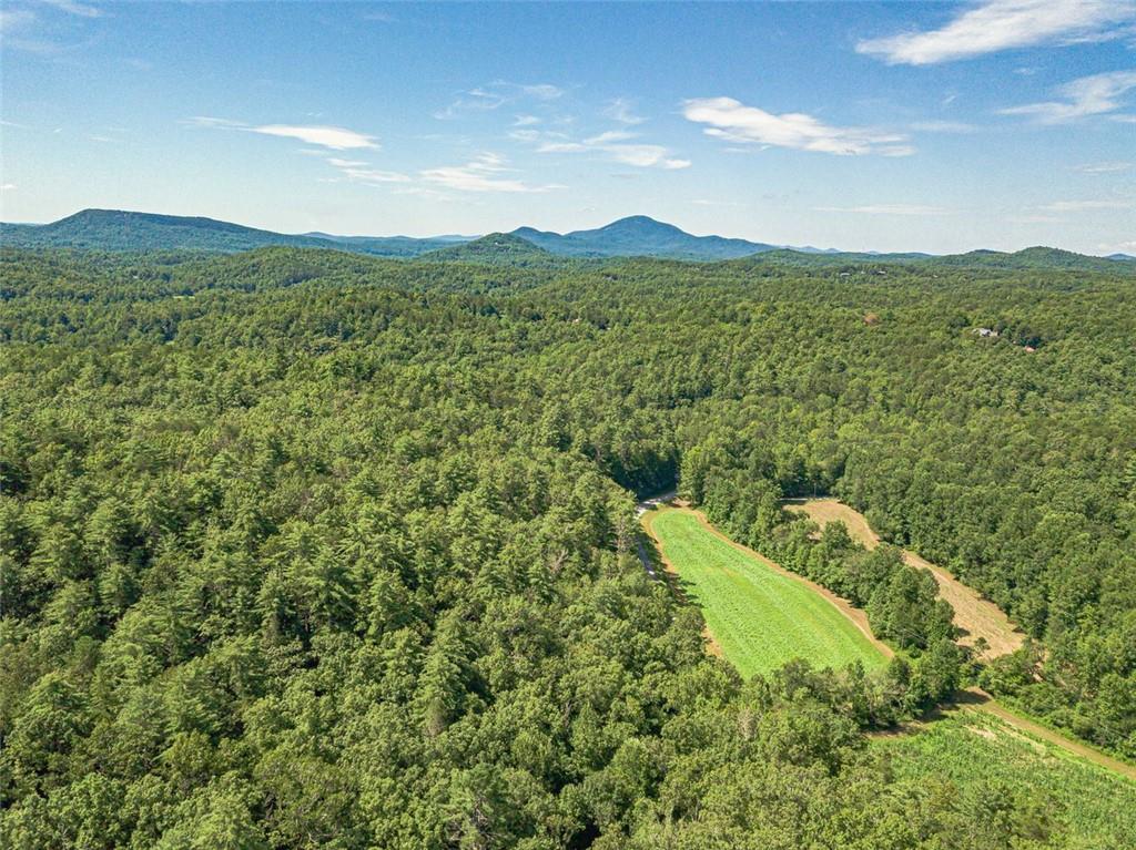 2970 Sky Lake Road Sautee Nacoochee, GA 30571 - Photo 51 of 53 a view of a lush green hillside and a building