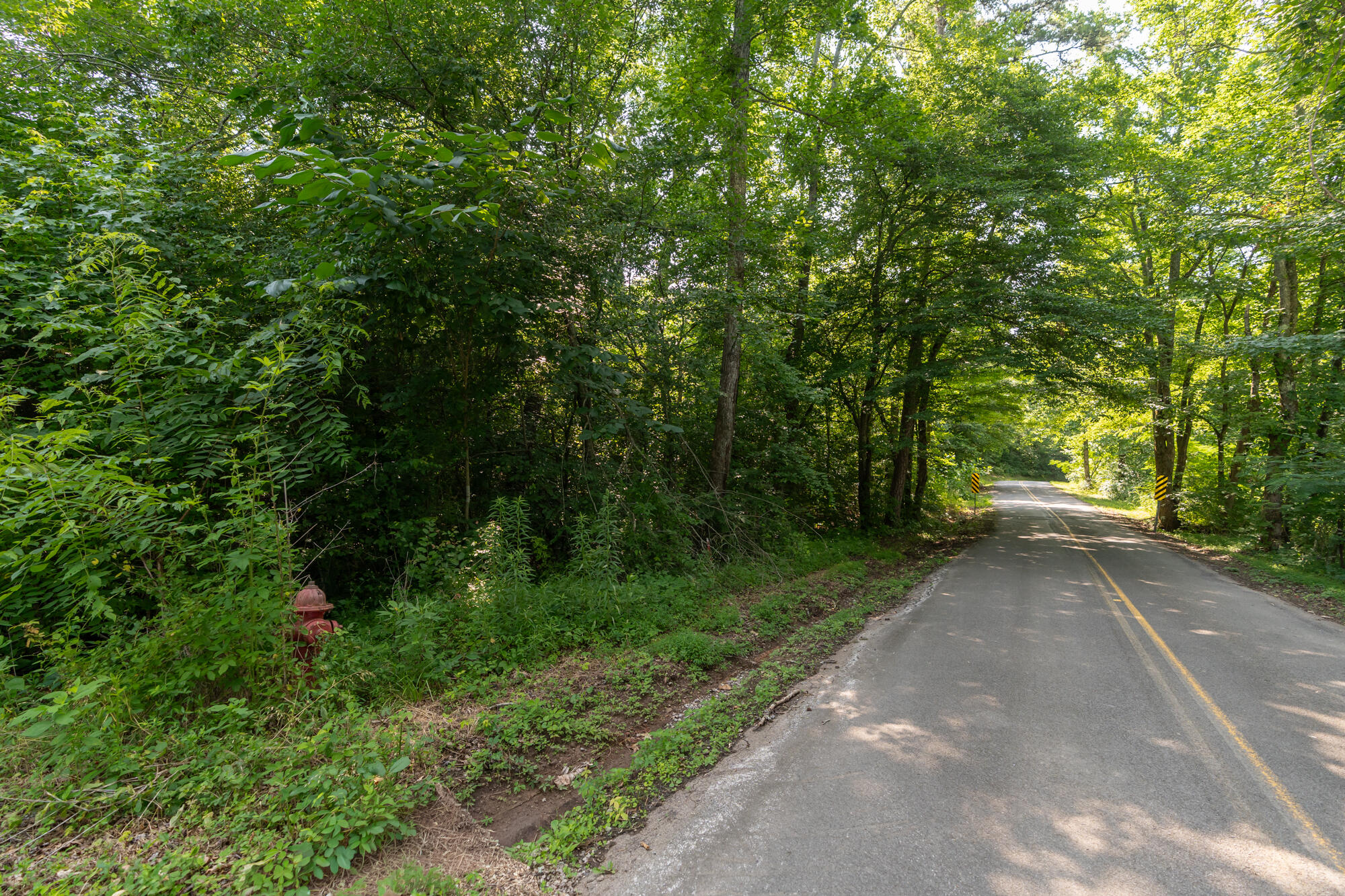 0 Stanfield Road Northwest Georgetown, TN 37336 - Photo 2 of 17 430stanfield-1