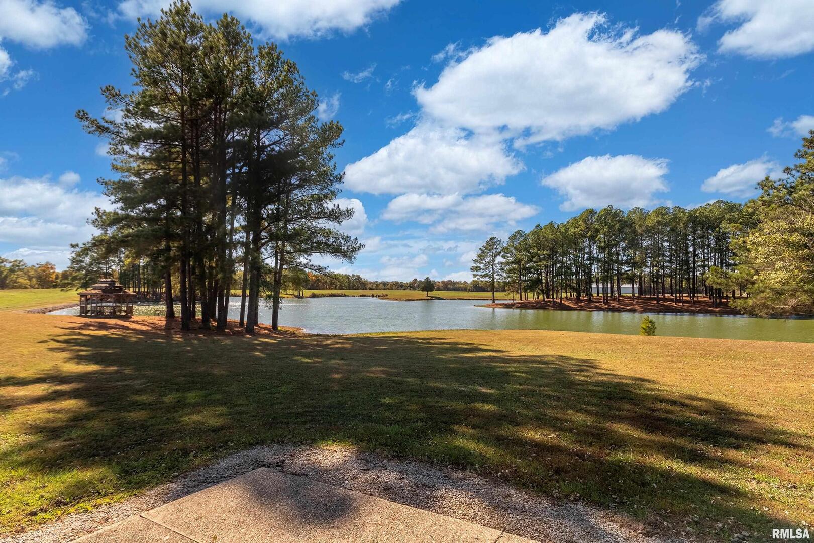 6694 Shamrock Road Tamaroa, IL 62888 - Photo 59 of 73