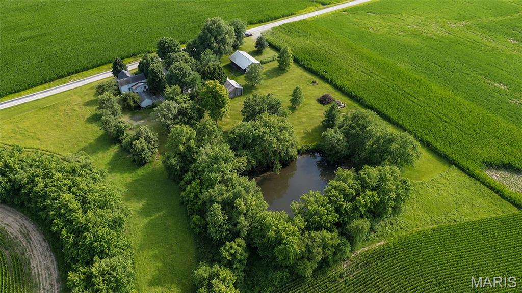 6063 Seiler Road Dorsey, IL 62021 - Photo 70 of 80