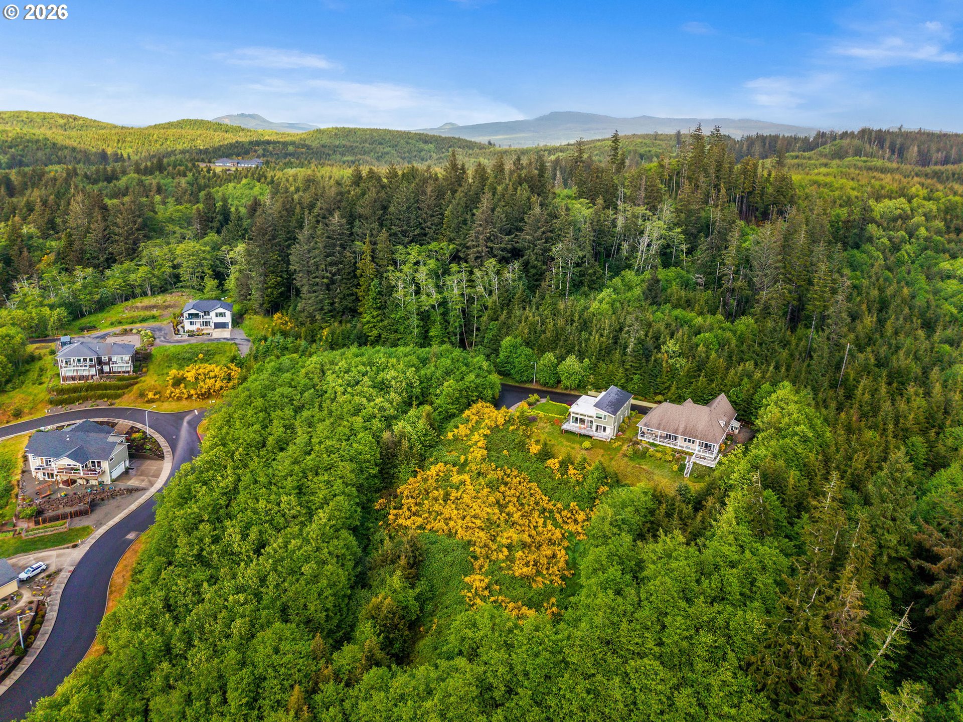 1915 North Fork Road Seaside, OR 97138 - Photo 10 of 12 a view of a city with lush green forest