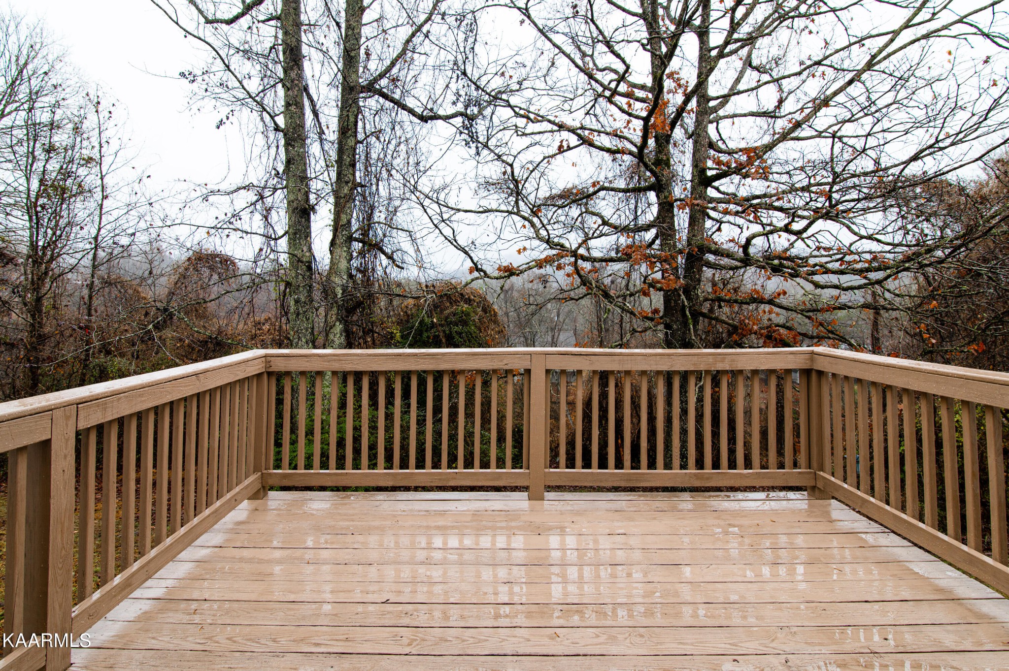 140 Pine Ridge Road Heiskell, TN 37754 - Photo 52 of 54 Gallery Image 52