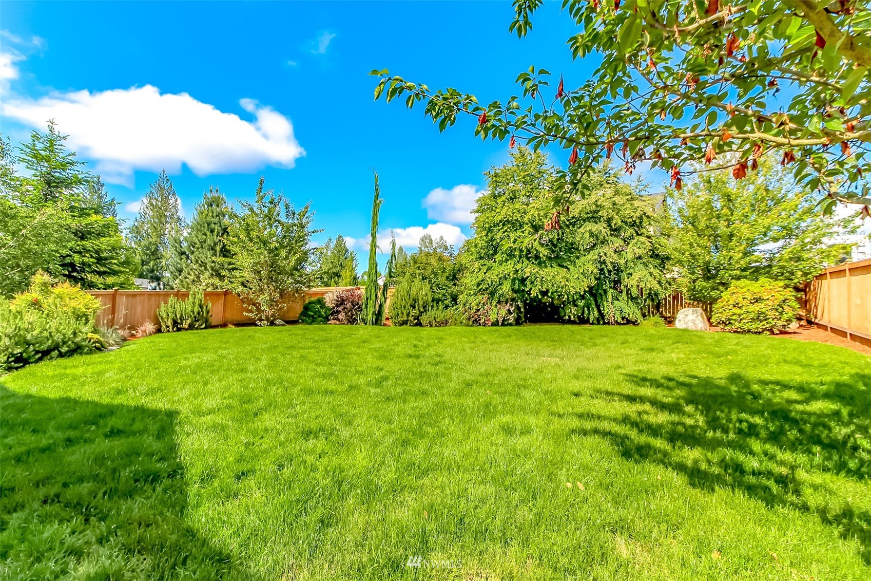 889 Lund Street Buckley, WA 98321 - Photo 36 of 40 a view of a yard with a tree