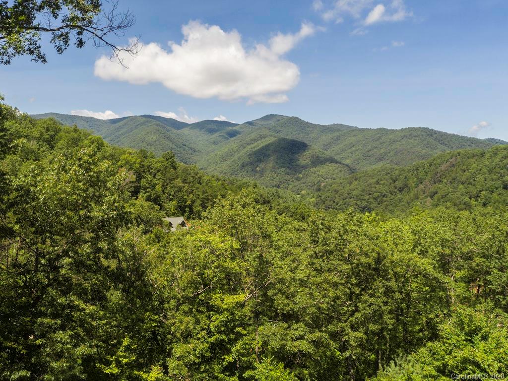 99 Twin Mountain View Road Canton, NC 28716 - Photo 41 of 43 Gallery Image 41