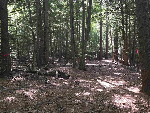 $95,000 | Claremont Road, Charlestown, NH 03603