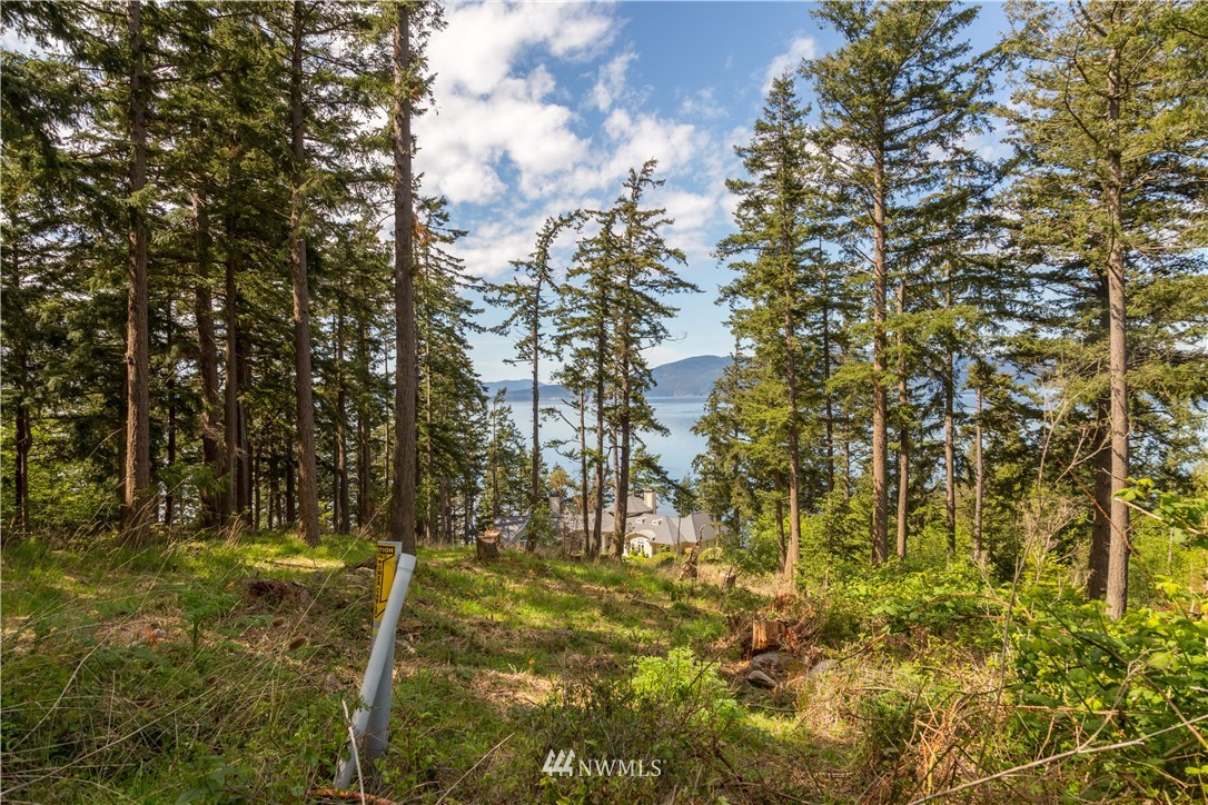 704 Bayside Road Bellingham, WA 98225 - Photo 15 of 19