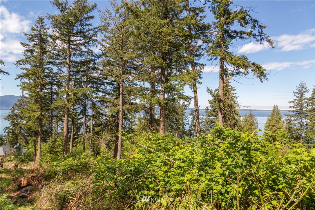 704 Bayside Road Bellingham, WA 98225 - Photo 16 of 19