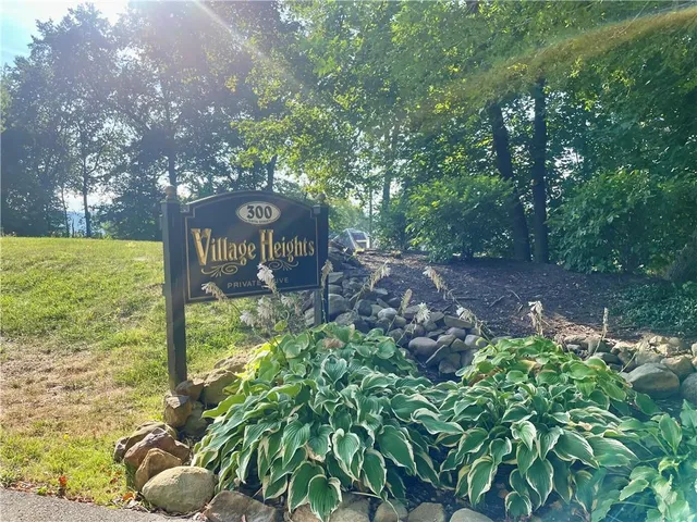 a view of a garden with a tree