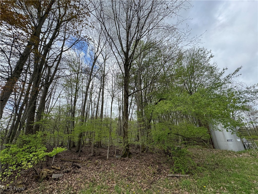V/l State Line Road Conneaut, OH 44030 - Photo 1 of 17