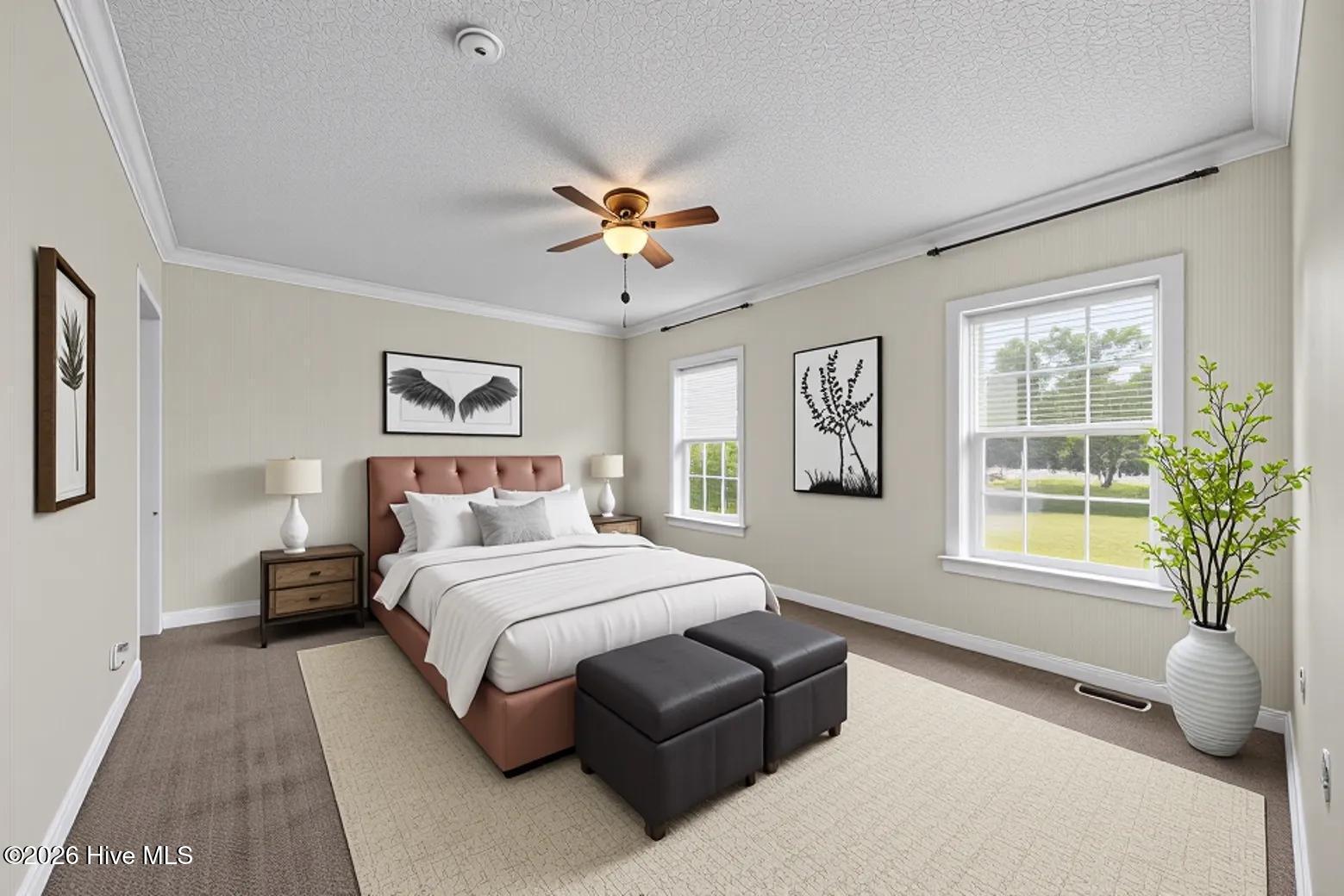 2041 Bay Road Willard, NC 28478 - Photo 13 of 29 virtual staged primary bedroom