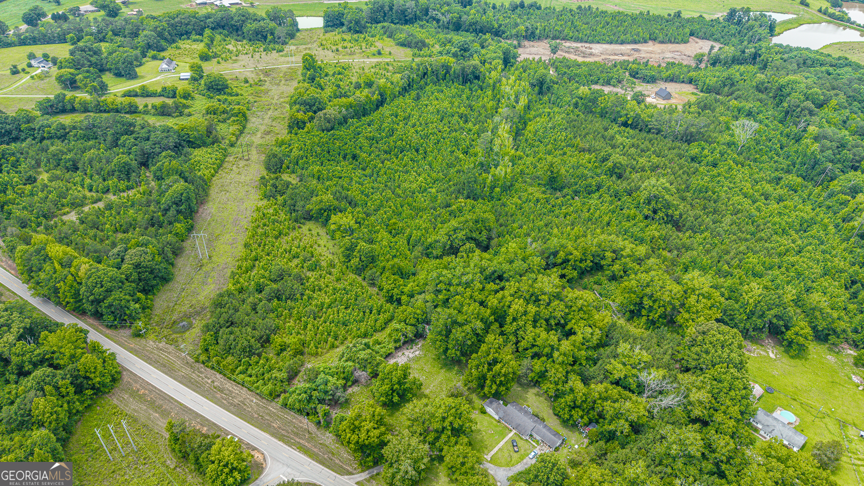 0 Washington Highway Union Point, GA 30669 - Photo 18 of 22