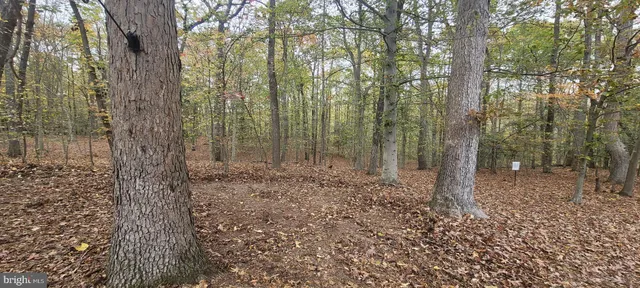 a house with trees in front of it