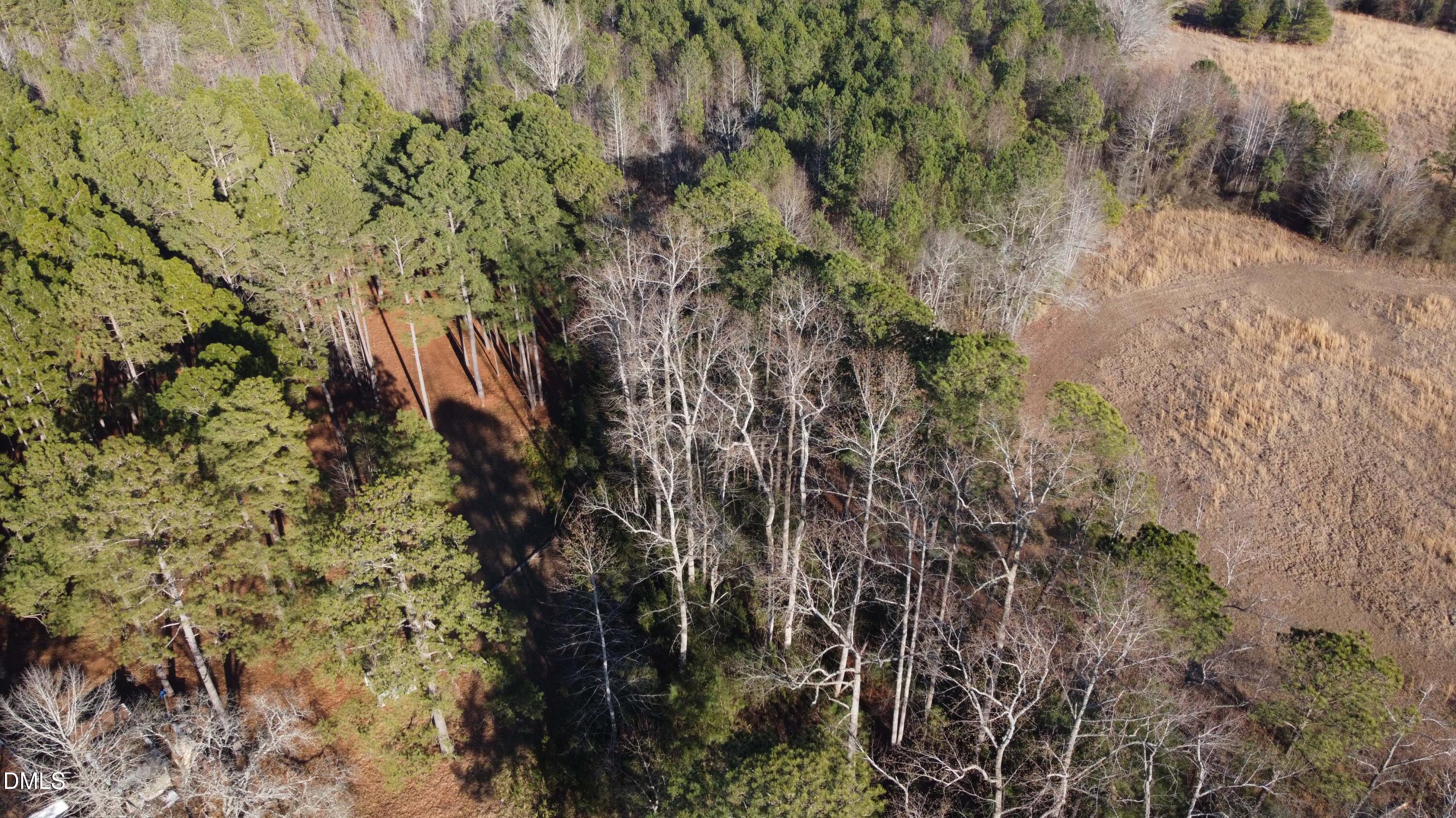 Lot 7 Docs Road Lillington, NC 27546 - Photo 2 of 4 Lot 7 (2)