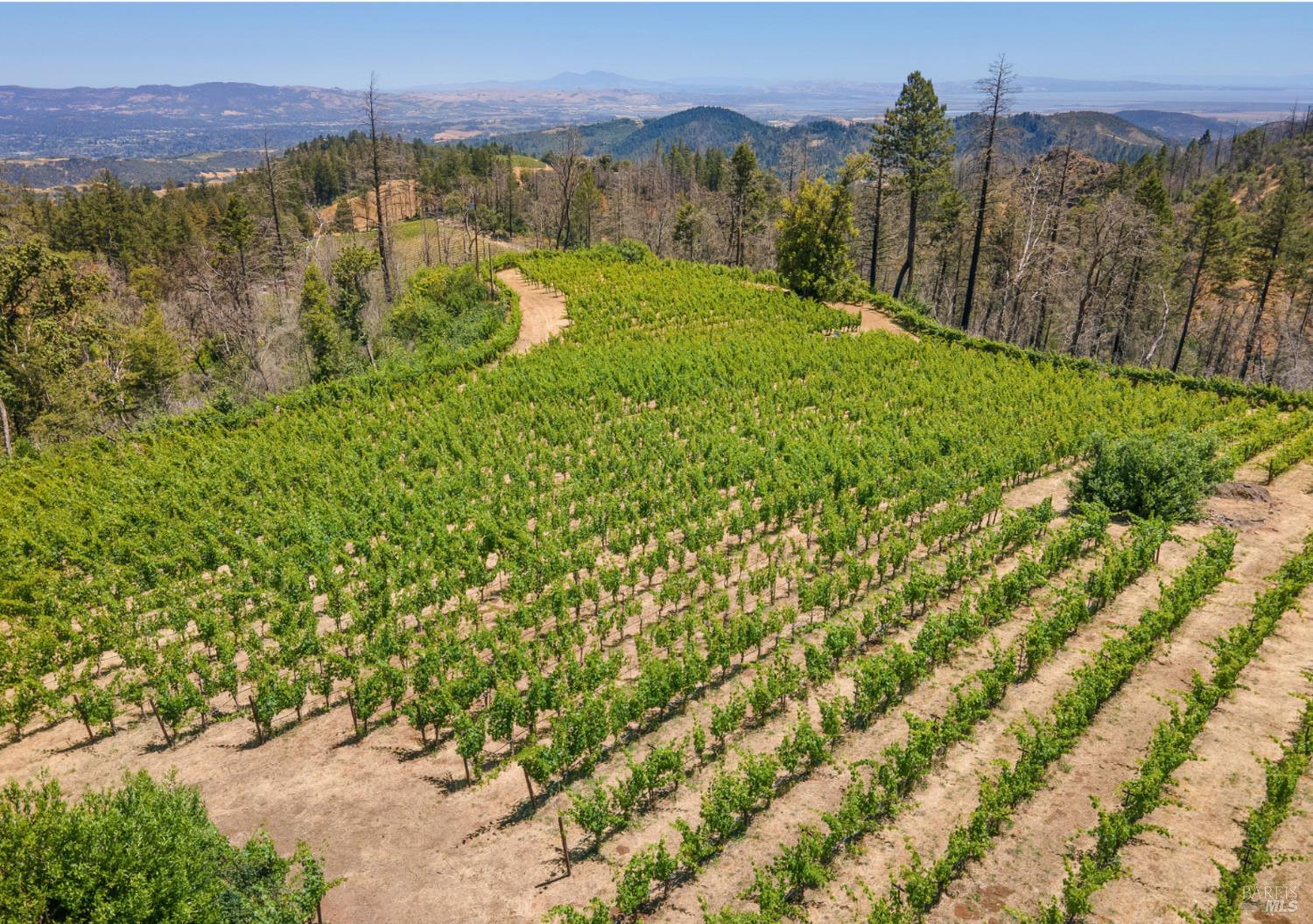 3801 Mt Veeder Road Napa, CA 94558 - Photo 21 of 22