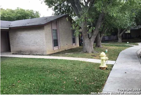 a view of a backyard with large trees