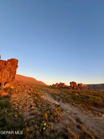 a view of a dry yard with wooden fence