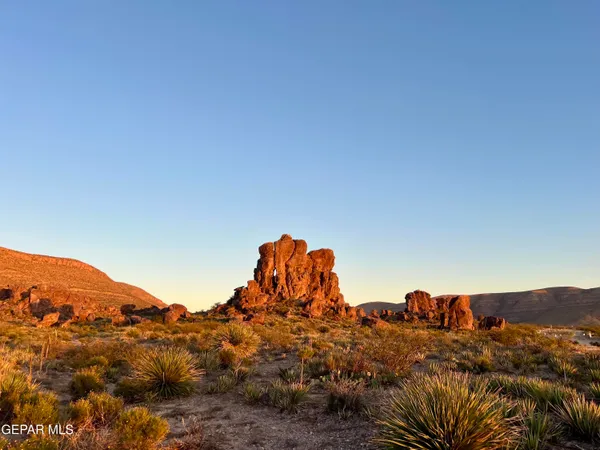 a view of a dry yard with wooden fence