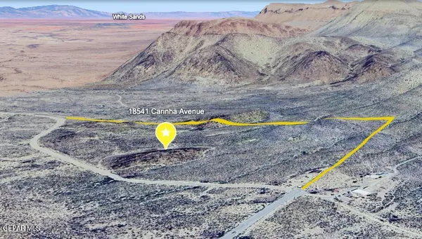 a large tree sitting in the middle of a field