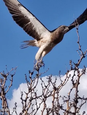 $647,000 | 18541 Carinha Avenue, El Paso, TX 79938