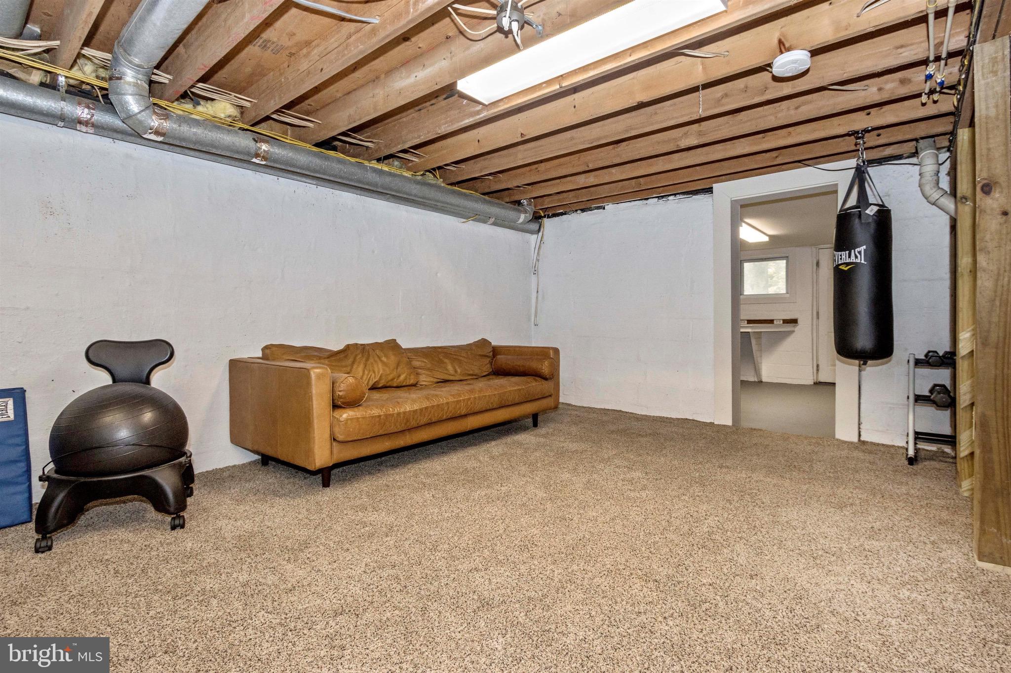 15123 Comus Road Clarksburg, MD 20871 - Photo 20 of 27 Lower Level Recreation Room