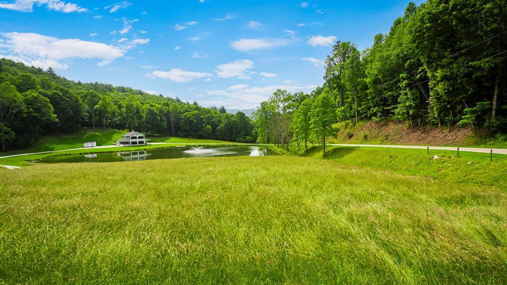 1651 Winding Stairs Road Topton, NC 28781 - Photo 3 of 100