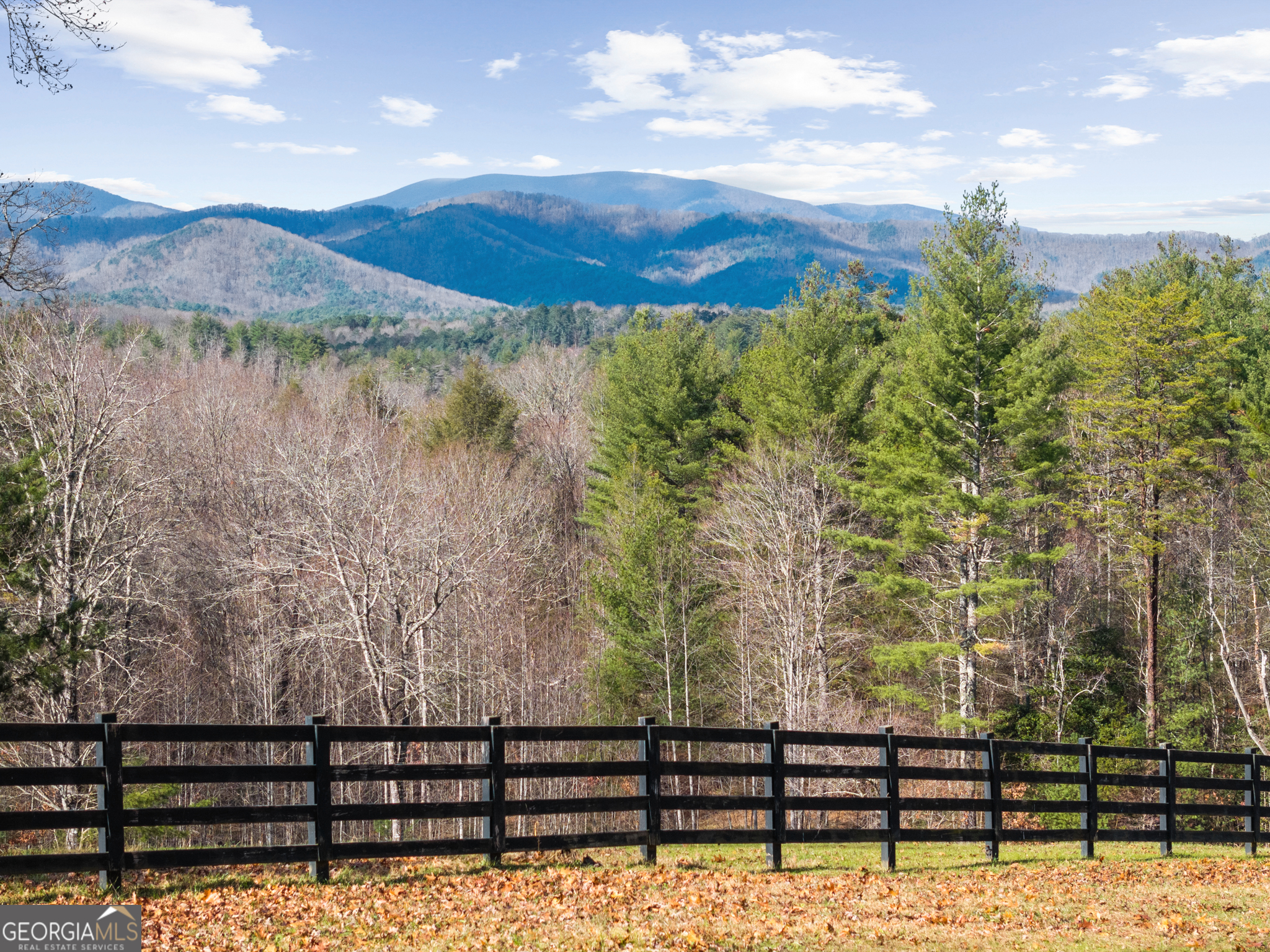 98 Saddle Back Trail Blue Ridge, GA 30513 - Photo 59 of 68