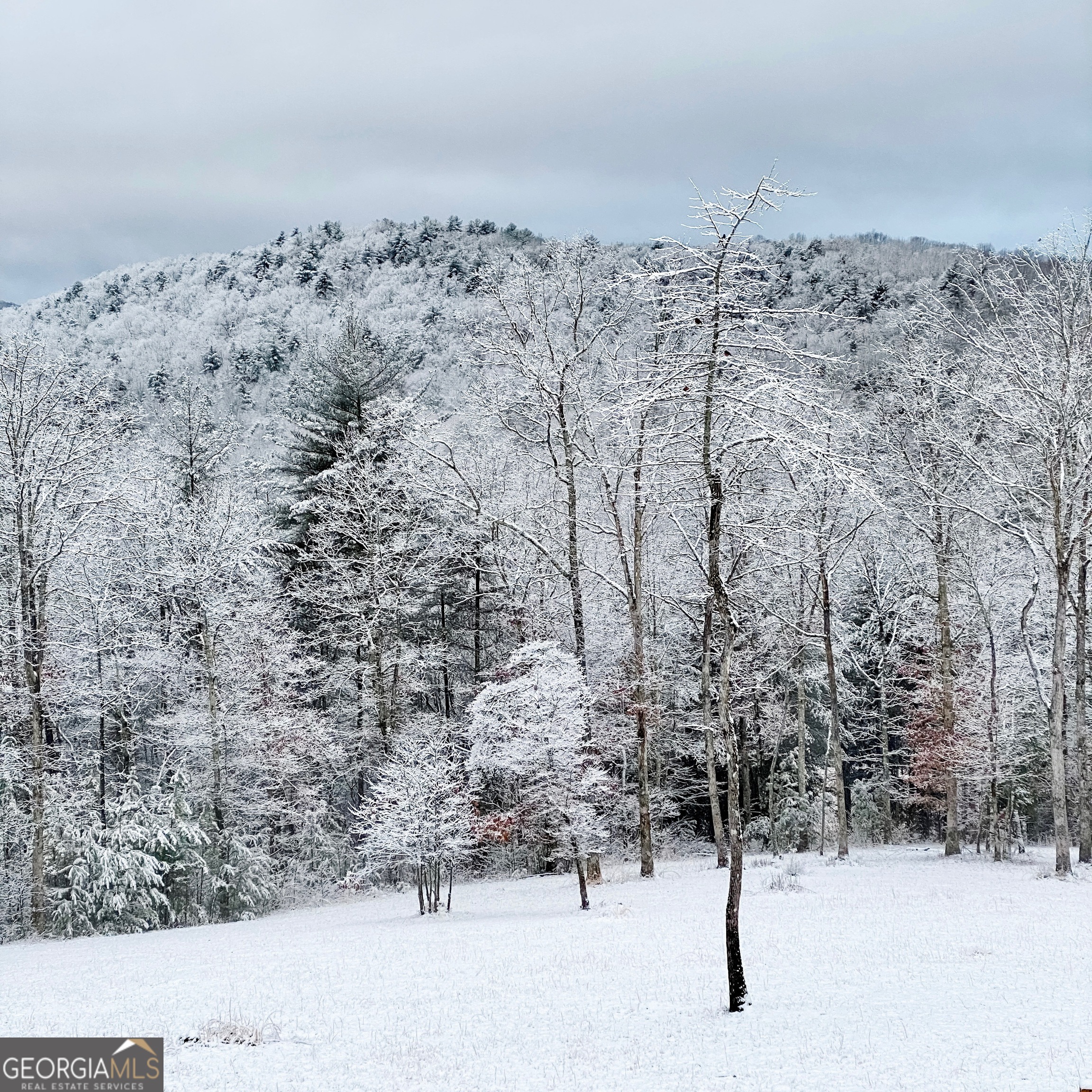 98 Saddle Back Trail Blue Ridge, GA 30513 - Photo 68 of 68