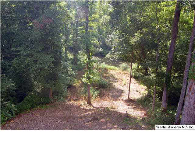 8024 River Bend Road Morris, AL 35116 - Photo 14 of 16