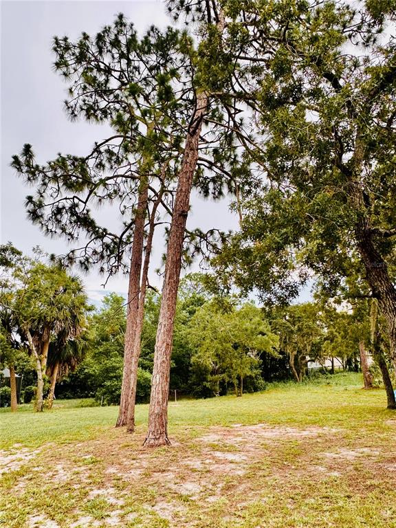 13186 Thrush Street Spring Hill, FL 34609 - Photo 51 of 53