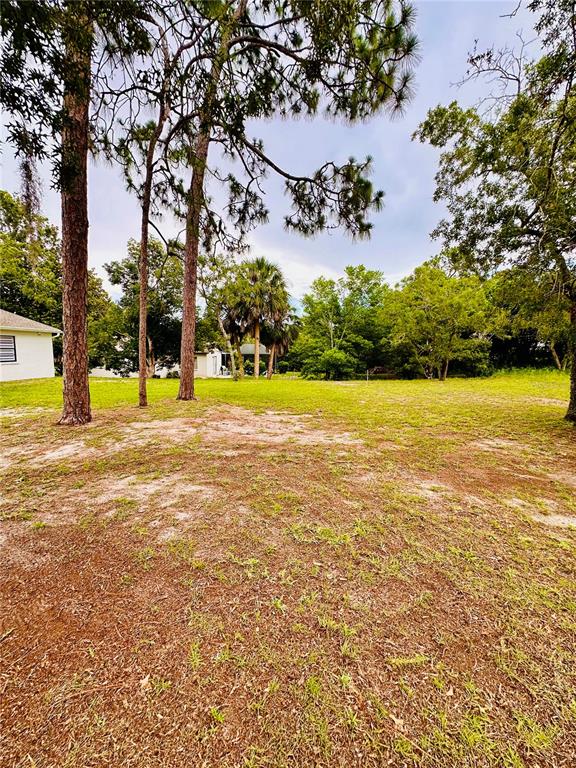 13186 Thrush Street Spring Hill, FL 34609 - Photo 53 of 53
